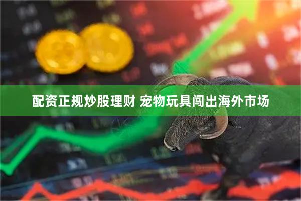 配资正规炒股理财 宠物玩具闯出海外市场