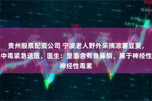贵州股票配资公司 宁波老人野外采摘凉薯豆荚，吃完中毒紧急送医，医生：里面含有鱼藤酮，属于神经性毒素